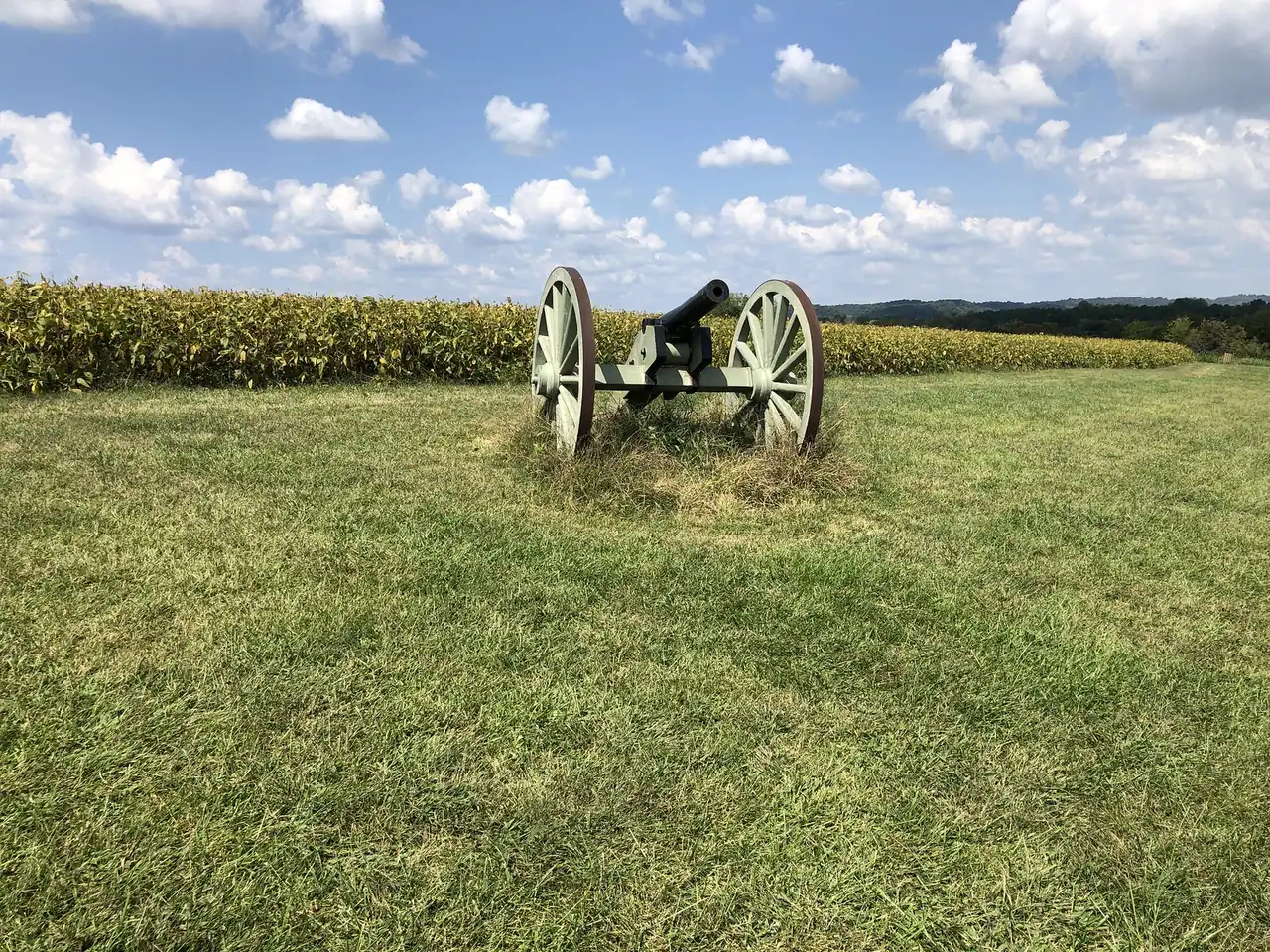 A Civil War cannon stands in a mown field beside a cornfield on the Spring Hill battlefield