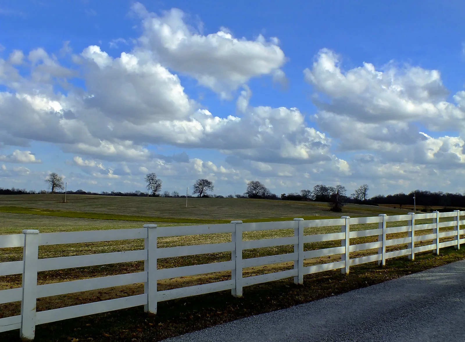 Open fields behind a white board fence along a gravel drive in Spring Hill