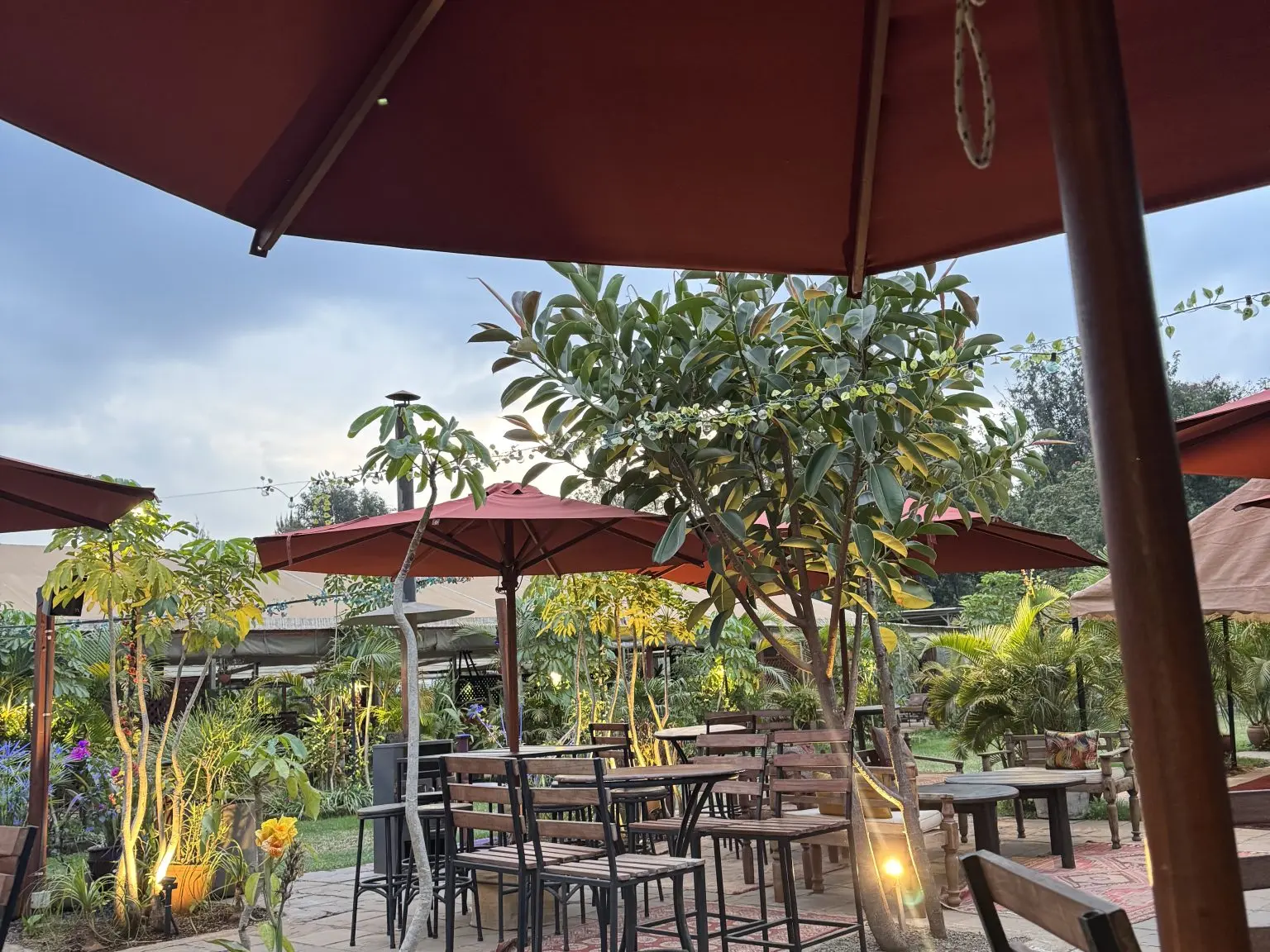 Tables, chairs and red umbrellas on an outdoor restaurant patio among trees and plants.