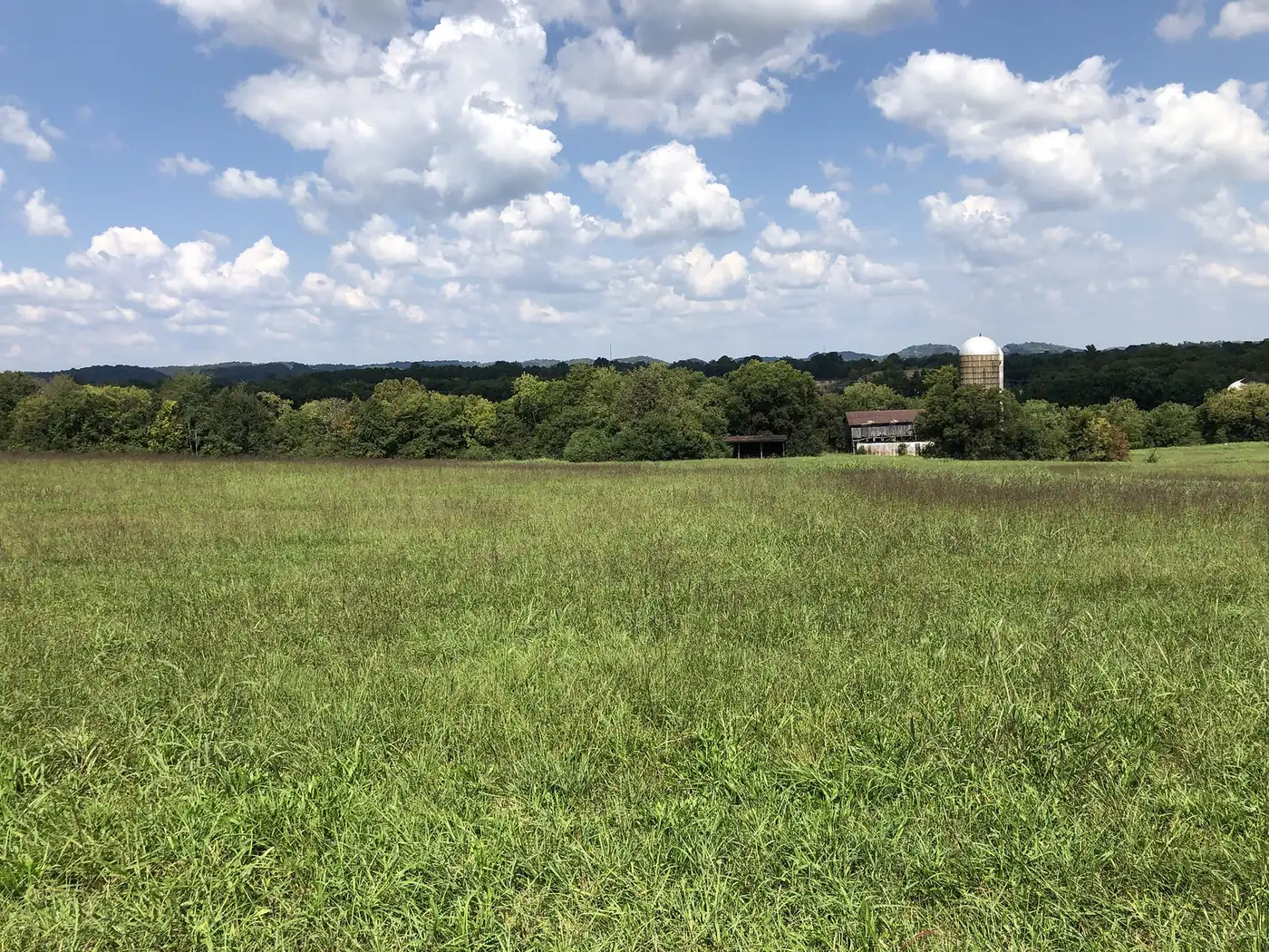 Open grass fields and a distant silo under a summer sky in Spring Hill