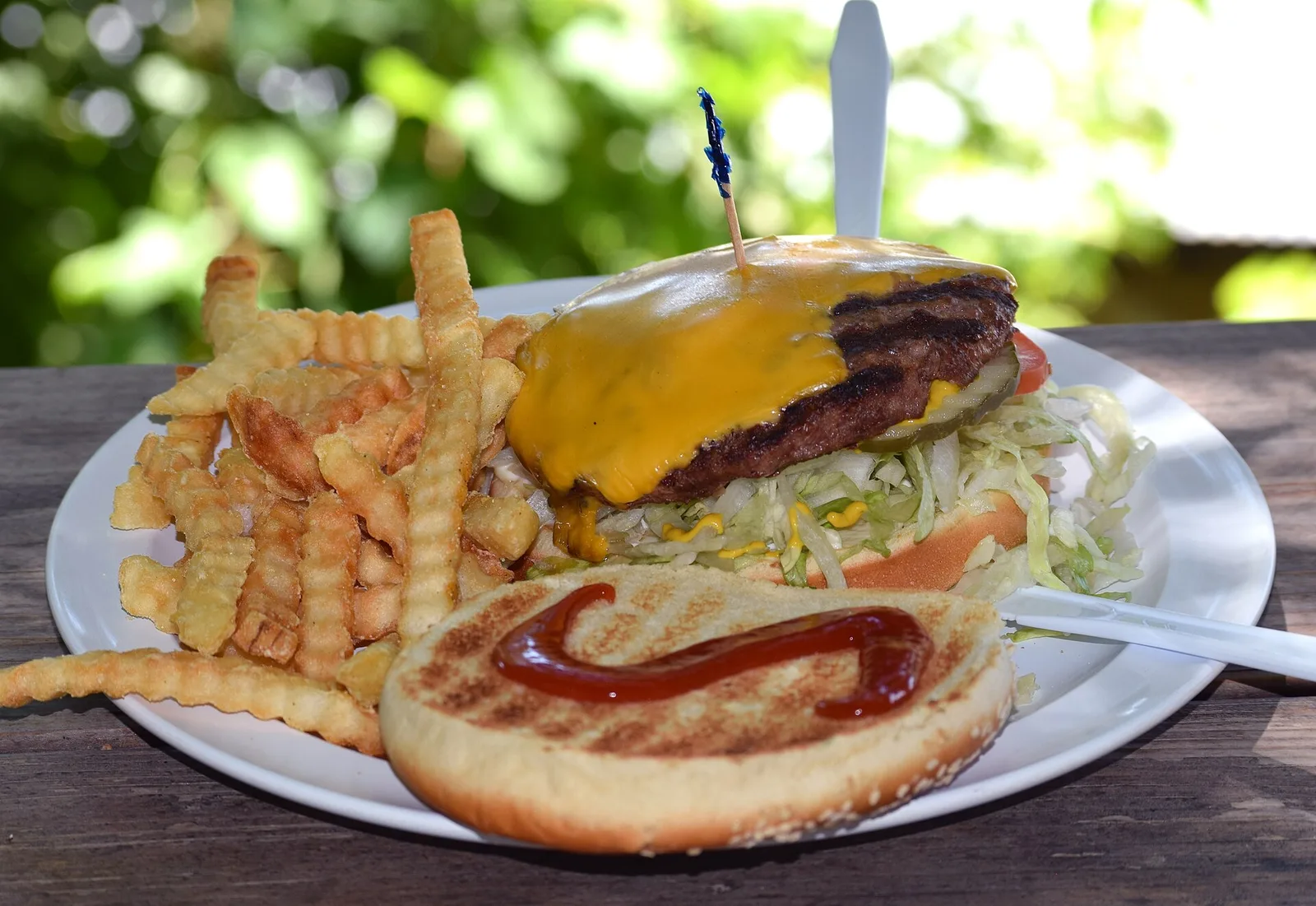 A cheeseburger with crinkle-cut fries on a plate at an outdoor table.